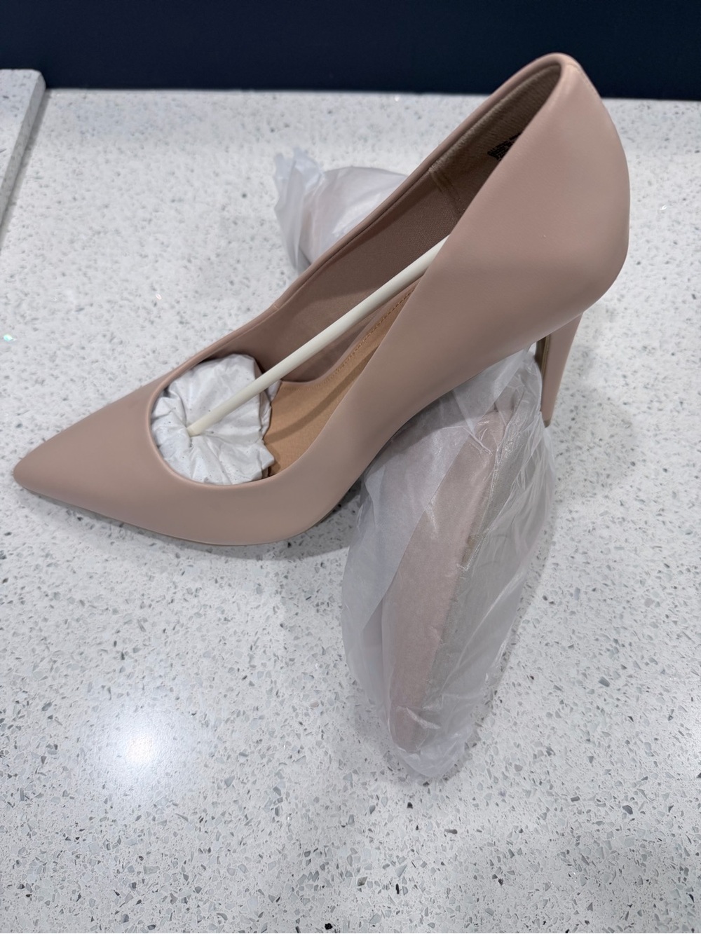 Women’s Pointed Toe Stiletto Pump in Nude